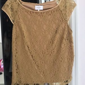 Lace top in rich gold - perfect for the holidays.